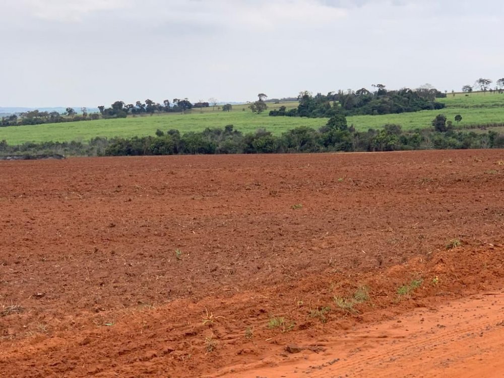 Fazenda - Venda - rea Rural de Mogi Guau - Mogi Guau - SP