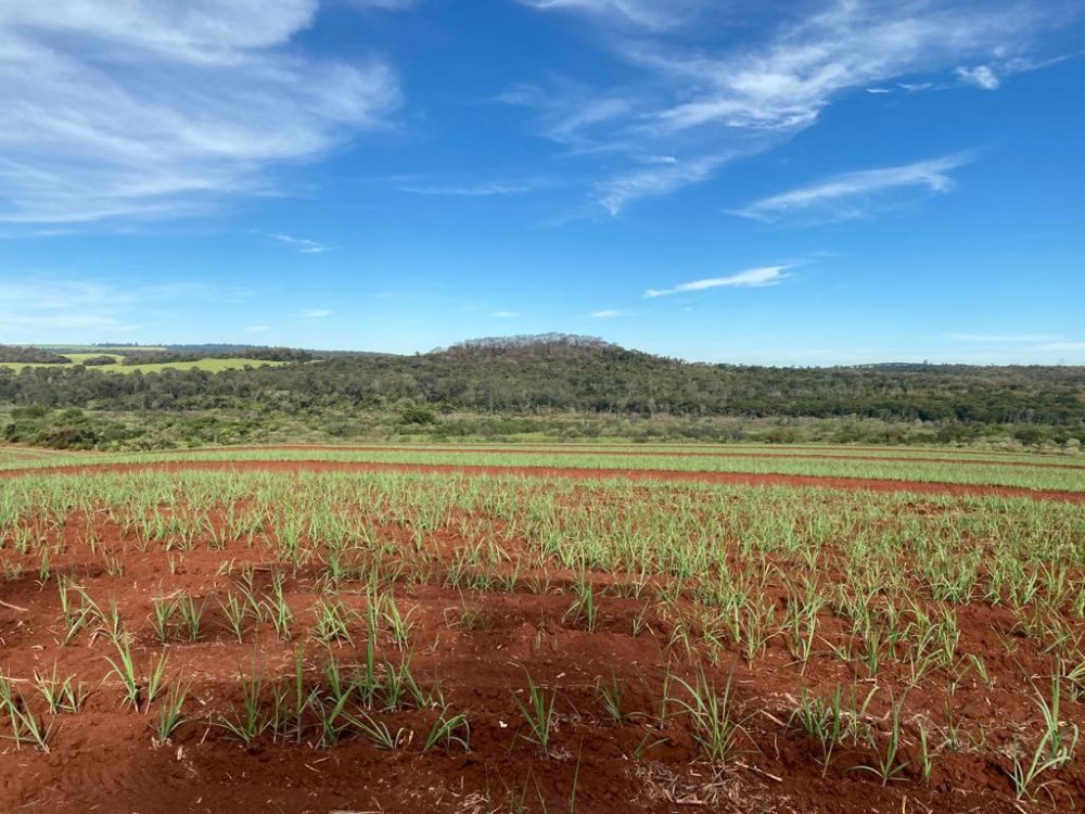 Fazenda - Venda - . - Ibat - SP