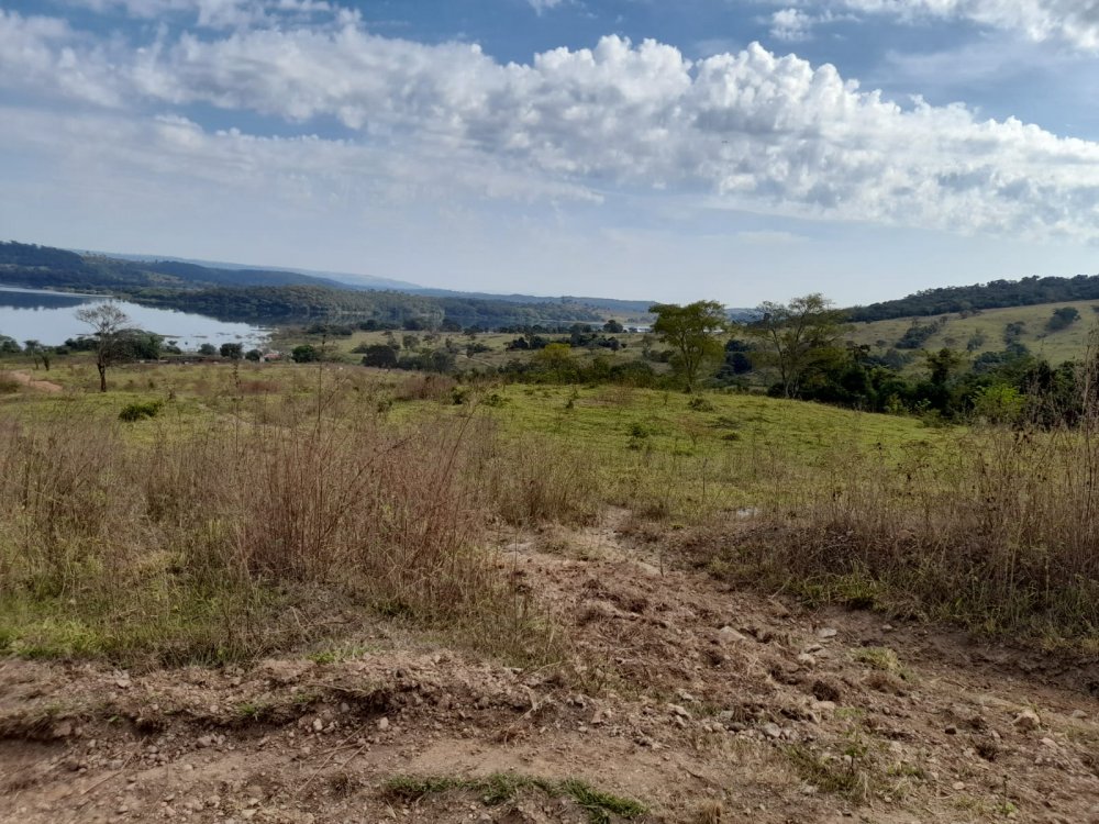 Fazenda - Venda - rea Rural de Araguari - Araguari - MG