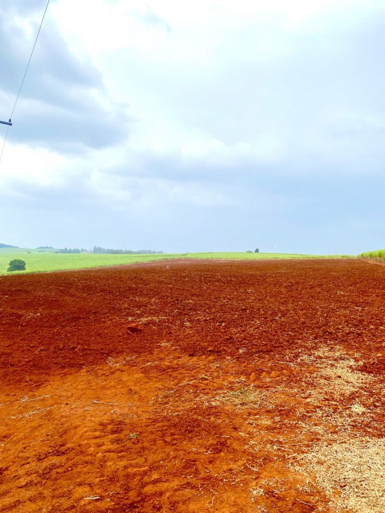 Fazenda - Venda - . - Descalvado - SP