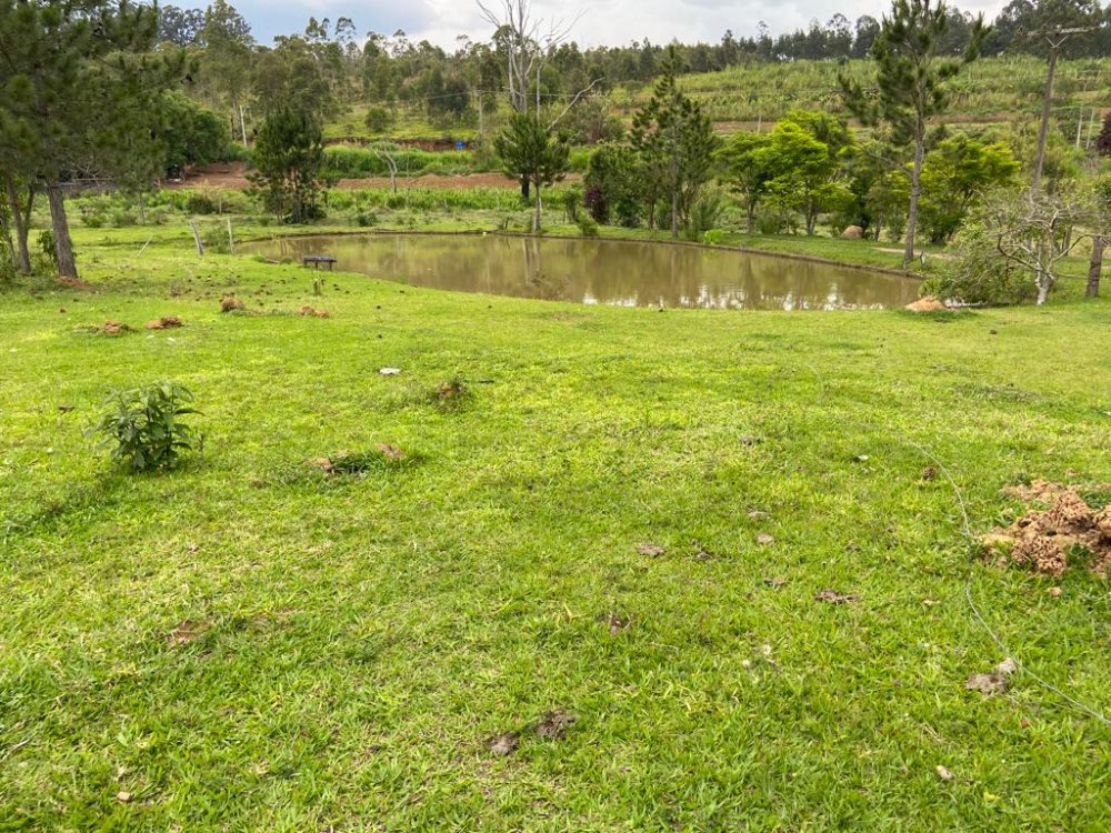 Stio - Venda - rea Rural de Mogi das Cruzes - Mogi das Cruzes - SP