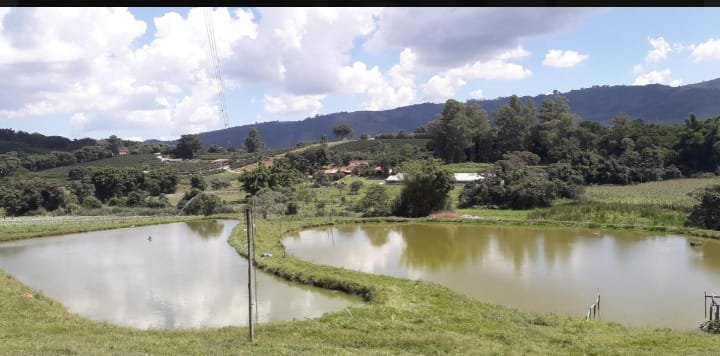 Fazenda - Venda - . - Serra Negra - SP