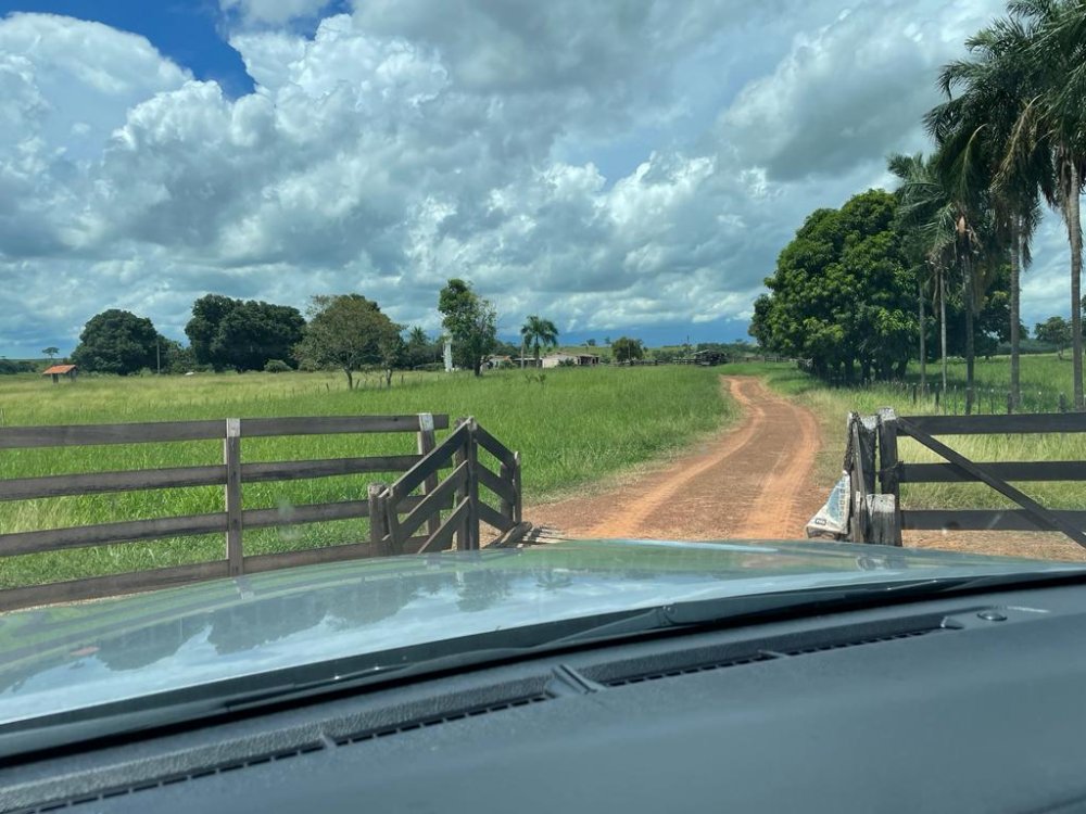 Fazenda - Venda - . - Auriflama - SP