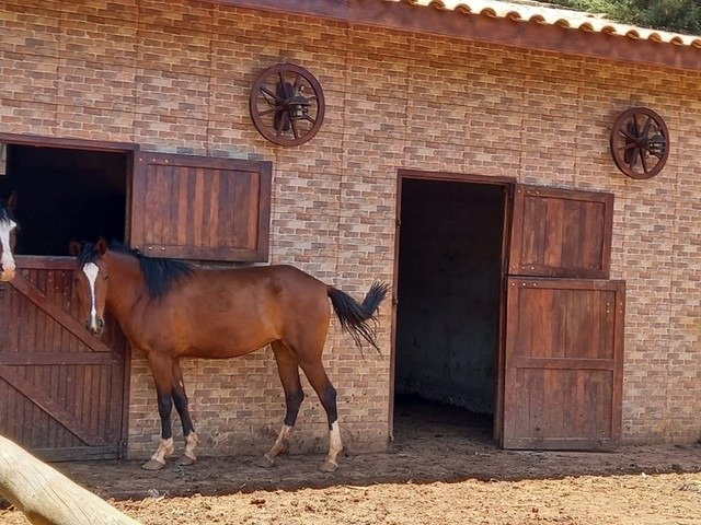 Chcara - Venda - Portal So Marcelo - Bragana Paulista - SP