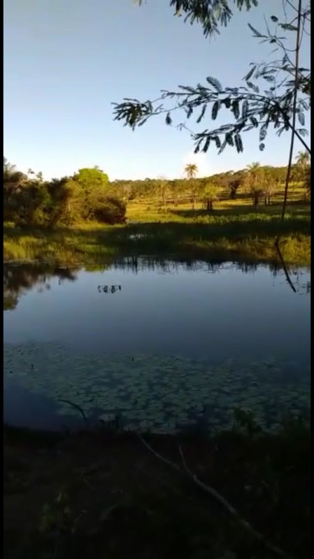 Fazenda - Venda - . - Urucuia - MG