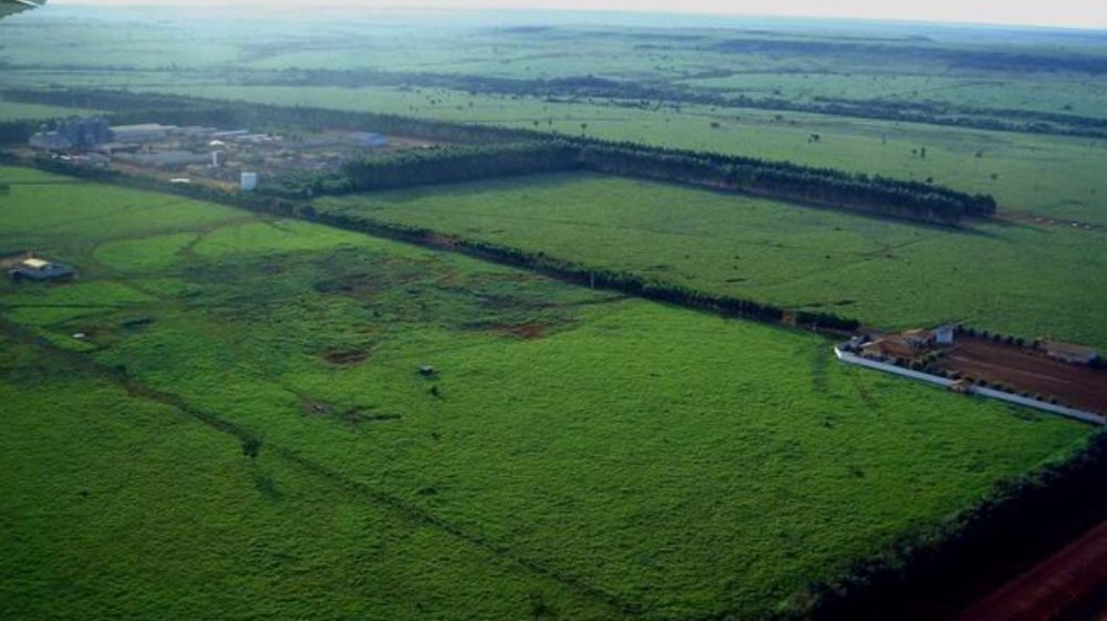 Fazenda - Venda - . - Porto Alegre do Norte - MT