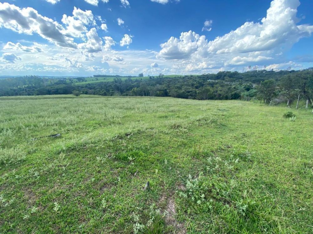 Fazenda - Venda - . - Santa Rosa de Viterbo - SP