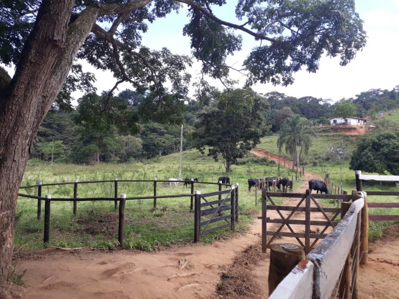 Fazenda - Venda - So Paulo - Governador Valadares - MG