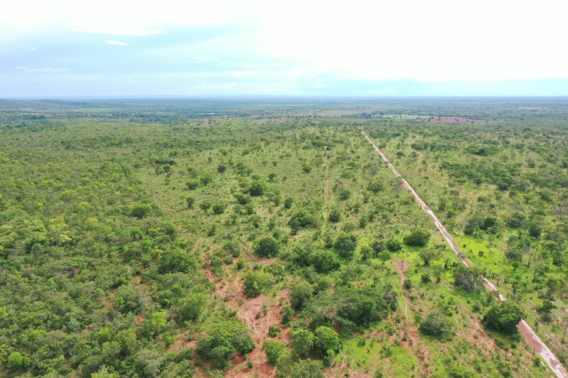 Fazenda - Venda - . - Arinos - MG