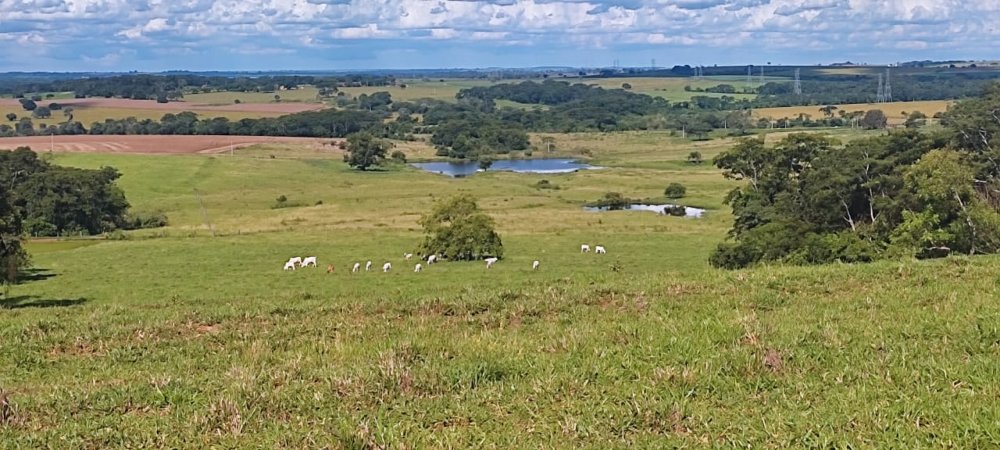 Fazenda - Venda - Centro - Birigi - SP