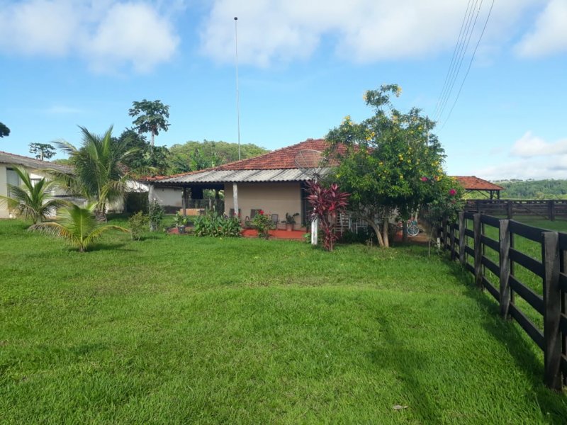 Fazenda - Venda - . - Campina Verde - MG