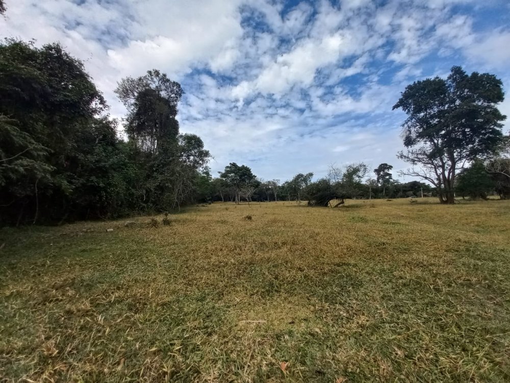 Fazenda - Venda - rea Rural de So Carlos - So Carlos - SP