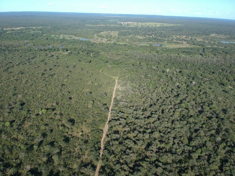 Fazenda - Venda - . - Arinos - MG