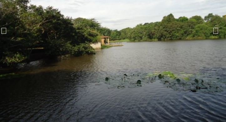 Fazenda - Venda - rea Rural de Araraquara - Araraquara - SP