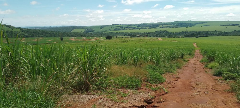 Fazenda - Venda - . - Descalvado - SP