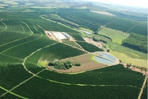 Fazenda - Venda - Zona Rural - Piumhi - MG