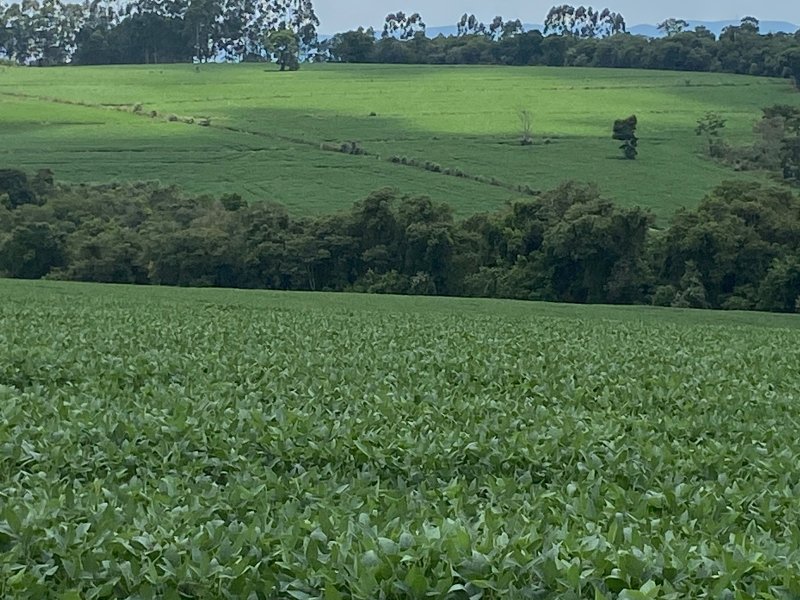 Fazenda - Venda - rea Rural de Itapetininga - Itapetininga - SP