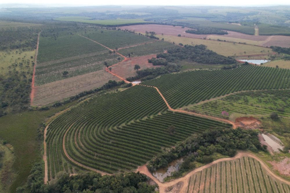 Fazenda - Venda - . - Angatuba - SP