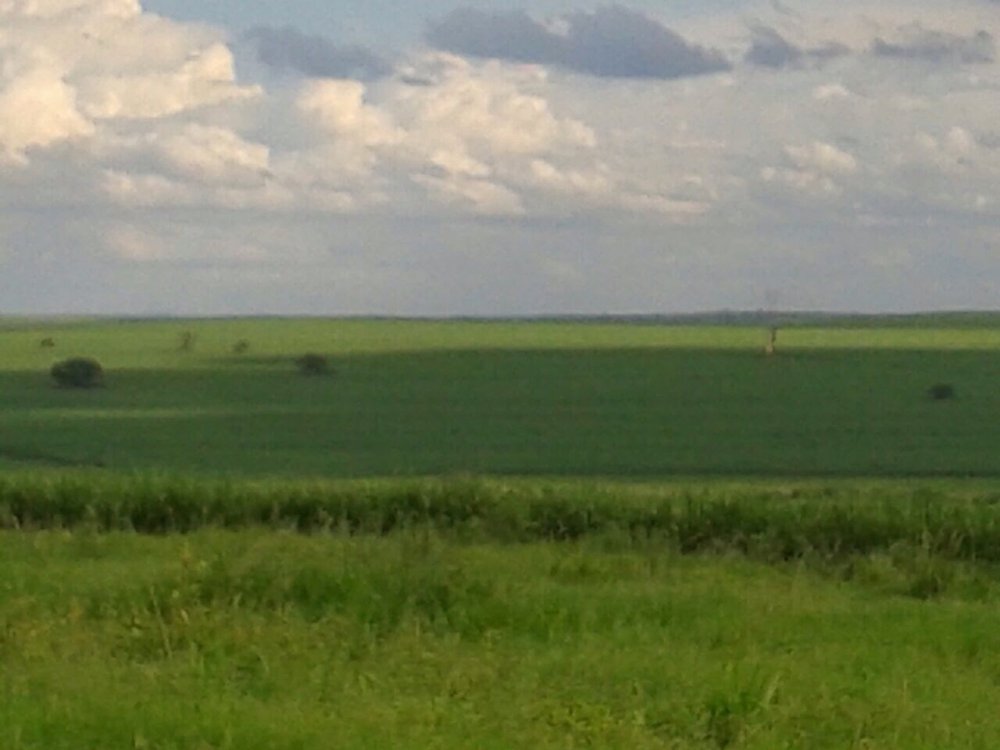 Fazenda - Venda - rea Rural de Presidente Prudente - Presidente Prudente - SP