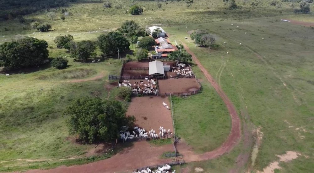 Fazenda - Venda - . - Alto Boa Vista - MT